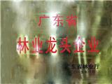 2015年1月，红古轩当选为“广东省林业龙头企业”